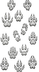 Illustration Animal Paw Print Tracks on Black and White Seamless Pattern