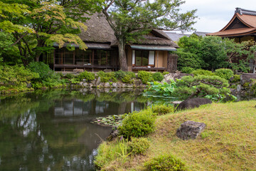 japanese garden in spring