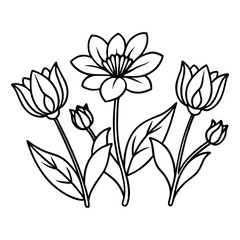 Line drawing of blooming meadow flowers with leave