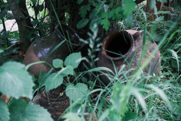 clay pot in the garden