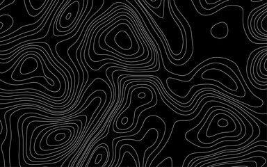 Abstract wave paper curved reliefs background .gradient multicolor wave curve lines banner background design .topographic contours map background.  Old paper texture design .geographical map Imitation