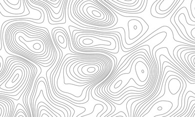 Topographic Background. Abstract wavy and curved lines background. Abstract pattern with Lines. Background of the Topographic Map. Abstract Topographic Map Lines. Monochrome Terrain Lines Art.