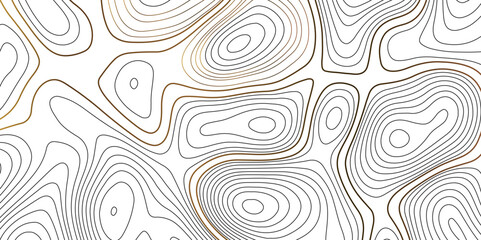 Topographic Background. Abstract wavy and curved lines background. Abstract pattern with Lines. Background of the Topographic Map. Abstract Topographic Map Lines. Monochrome Terrain Lines Art.