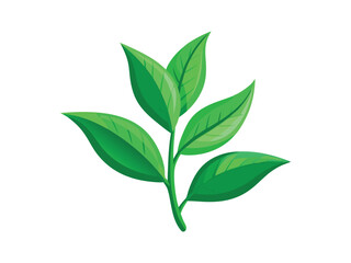 Fototapeta premium Green tea leaves branch illustration isolated on white background 