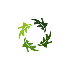 Circle Oak Leaf Logo Design. Oak Icon Vector