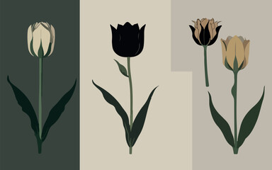 Elegance in Sepia: Tulip Trio vector art © sab's design