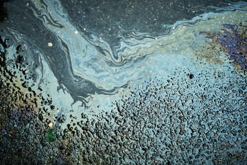 Colorful oil slick forming captivating patterns on the asphalt surface, glistening from recent rain.