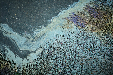 Brightly colored gasoline stain producing abstract forms on the soaked asphalt after rainfall.