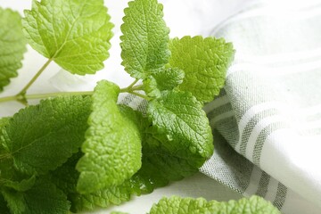 Fresh lemon balm leaves on white table, closeup