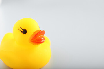 One cute rubber duck on white background, closeup. Space for text
