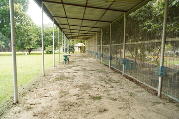 walking in the park