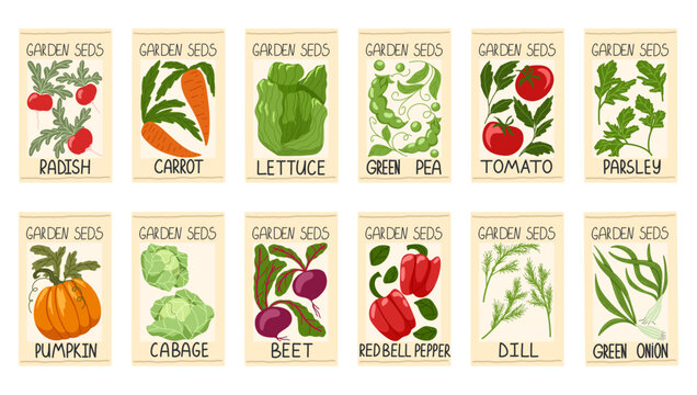 Vegetable seeds packages vector set. Pack of radish, carrots, pumpkin, peas, tomato, cabbage, onion, beet, pepper, lettuce salad, parsley, dill seeds. Package design for gardening farming agriculture