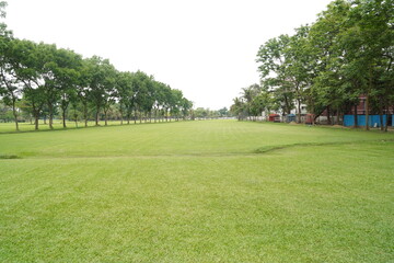 Obraz premium green walking way in the park