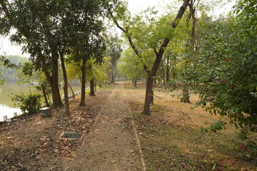 Fototapeta premium path in the park