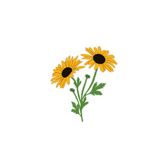 Obraz premium Colorful flower 