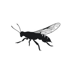 Silhouette Locust Logo, Insect Vector Illustration