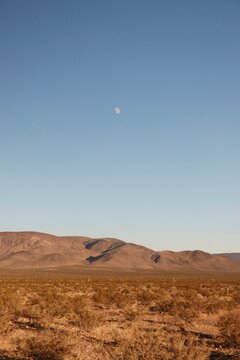 desert landscape in the desert