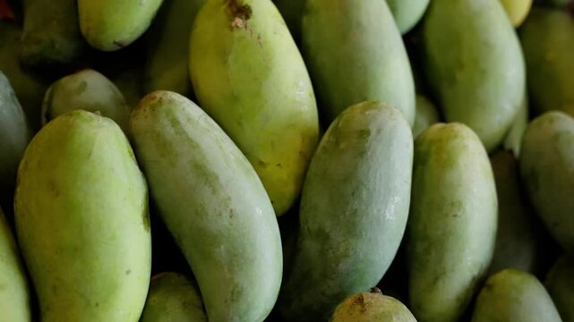 A Bounty of Green Mangoes: Fresh Tropical Fruits Displayed in Abundance, Showcasing Their Varied Shapes and Natural Beauty in Close-Up View