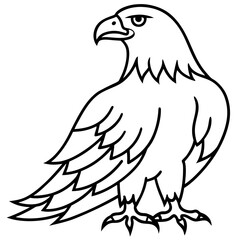 eagle vector illustration