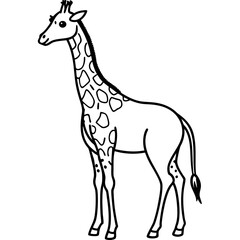 giraffe vector illustration
