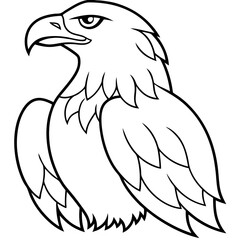 eagle vector illustration