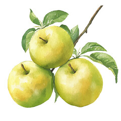 My Watercolor illustration, green apple branch painting illustration isolated on a white background, illustration, AI painting design, vector illustration set, eps format