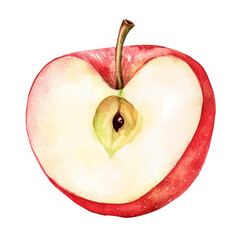 My Watercolor illustration, apple slice painting illustration isolated on a white background, illustration, AI painting design, vector illustration set, eps format