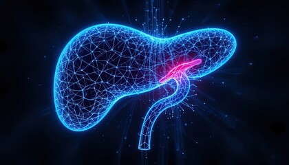 A detailed 3d model of the human liver.