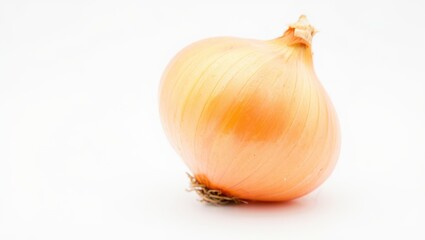 Fototapeta premium onion on white background