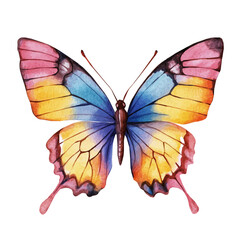My Watercolor illustration, butterfly painting illustration isolated on a white background, illustration, AI painting design, vector illustration set, eps format