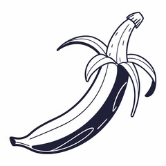 vector illustration of banana