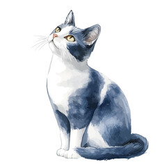 My Watercolor illustration, cat painting illustration isolated on a white background, illustration, AI painting design, vector illustration set, eps format © Zizak