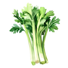 My Watercolor illustration, celery painting illustration isolated on a white background, illustration, AI painting design, vector illustration set, eps format