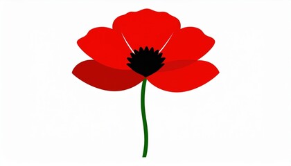 Red Poppy Illustration On White Background