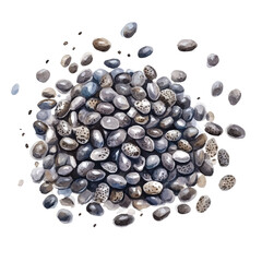 My Watercolor illustration, illustration chia seeds painting isolated on a white background, illustration, AI painting design, vector illustration set, eps format