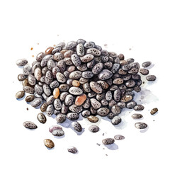 My Watercolor illustration, illustration chia painting isolated on a white background, illustration, AI painting design, vector illustration set, eps format