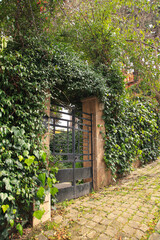 The front door is entwined with ivy. A green living wall of plants. Natural background