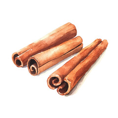 My Watercolor illustration, illustration cinnamon roll painting isolated on a white background, illustration, AI painting design, vector illustration set, eps format