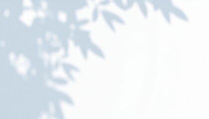Obraz premium Cold Abstract Shadow on the Wall PNG Transparent Background
