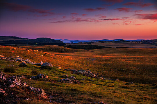 Evening landscape on the Aubrac mountains.
Field and hills on a beautiful spring evening in central France, with rock and stone walls.
