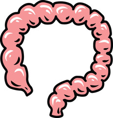 intestine illustration human organ hand drawing