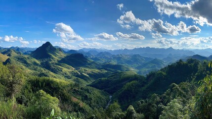 Fototapeta premium The panoramic view of lush hills in the distance, dotted with dense forests and rolling hills, and the tranquil natural landscape under the soft sunlight make for a sense of serenity and awe.