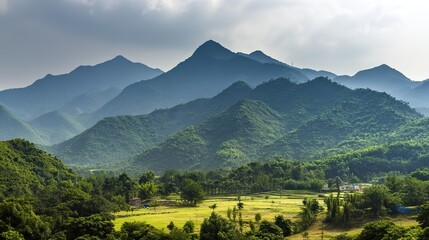 The panoramic view of lush hills in the distance, dotted with dense forests and rolling hills, and the tranquil natural landscape under the soft sunlight make for a sense of serenity and awe.