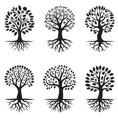 Obraz premium set of black vector family tree silhouette with interconnected branches and roots 