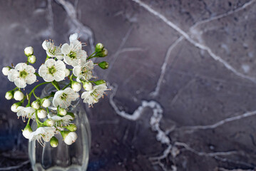Freshly picked white flowers arranged in glass vials on a textured dark stone surface during daylight