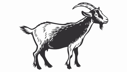Black and White Goat Illustration, Farm Animal Drawing