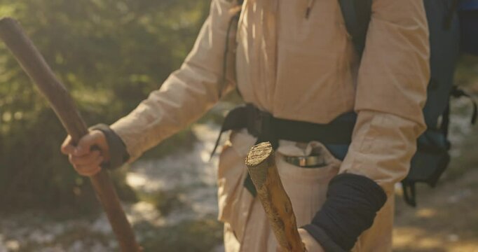 Close up of a person in hiking clothes with a backpack using wooden poles during his hike in the sunny forest in winter. Travel to the forest in winter