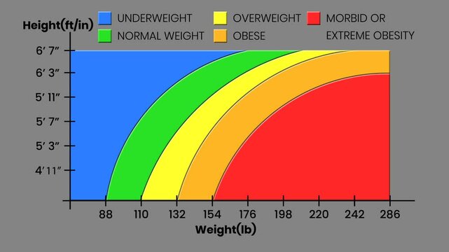 Animated BMI chart with imperial units (height in feet, weight in pounds). Gradual reveal. Transparent background. Great for health, fitness, and educational content