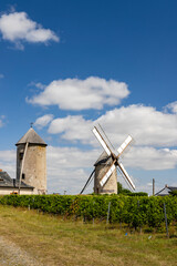 Windmills standing in Chaudefonds sur Layon, France, near a vineyard on a sunny day with blue sky and clouds