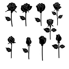Set of black roses isolated flat vector spring summer flowers blooming stylized bloom